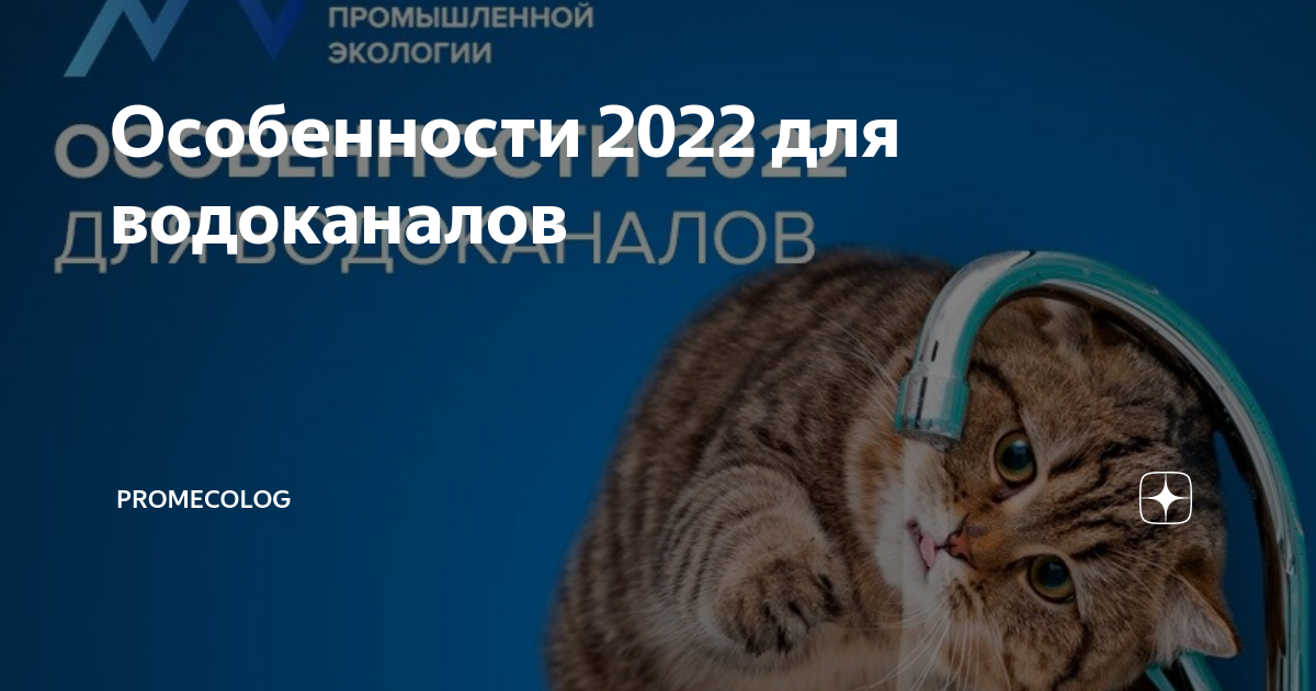 Особенность 2022 года