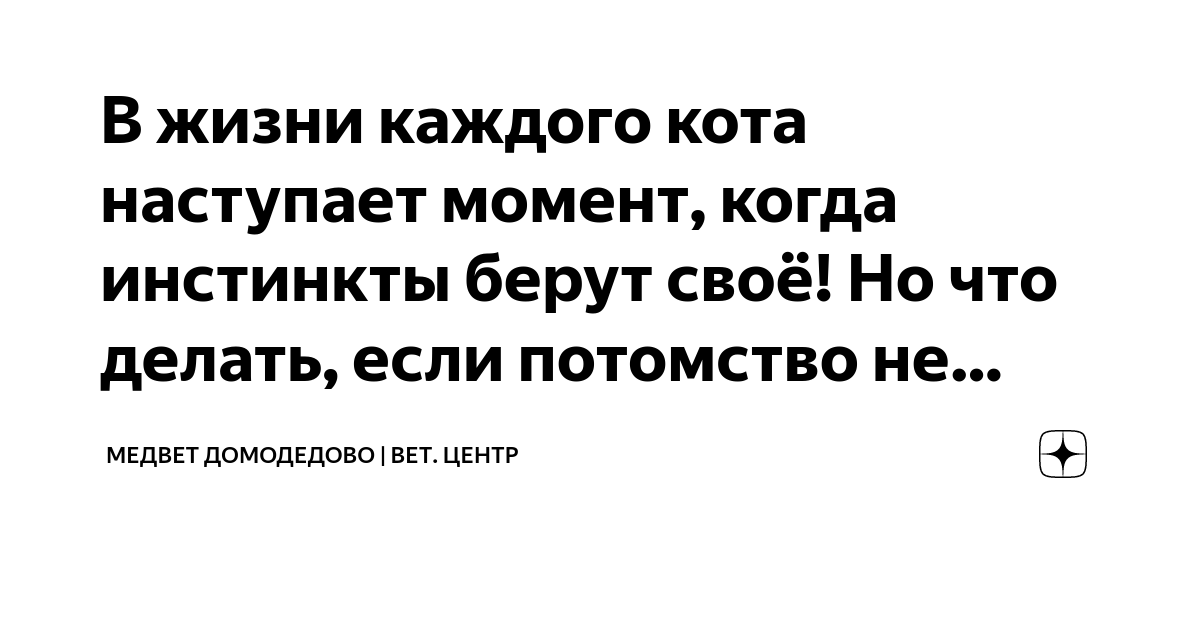 Когда инстинкты лгут читать