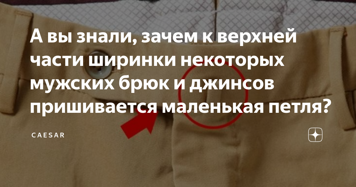 как называется нижняя часть штанов