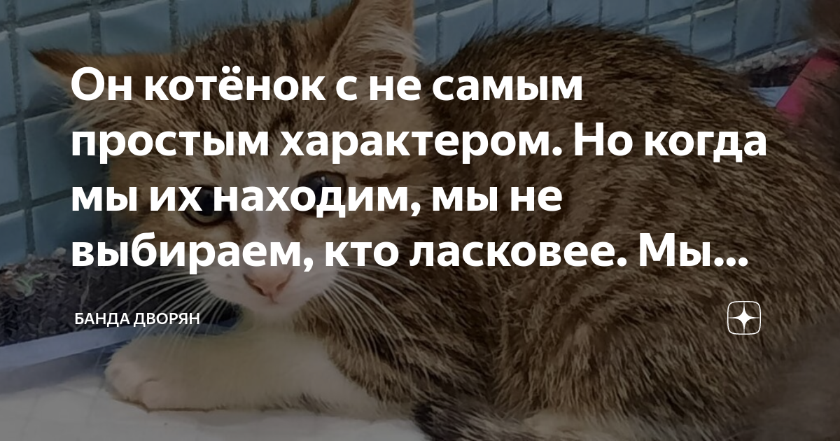 Передаю привет всем. Что помогло и помогает людям передавать опыт людям. Эстафету принял. Плакат а ты передал показания счетчиков. А ты передал показания счетчика картинки.