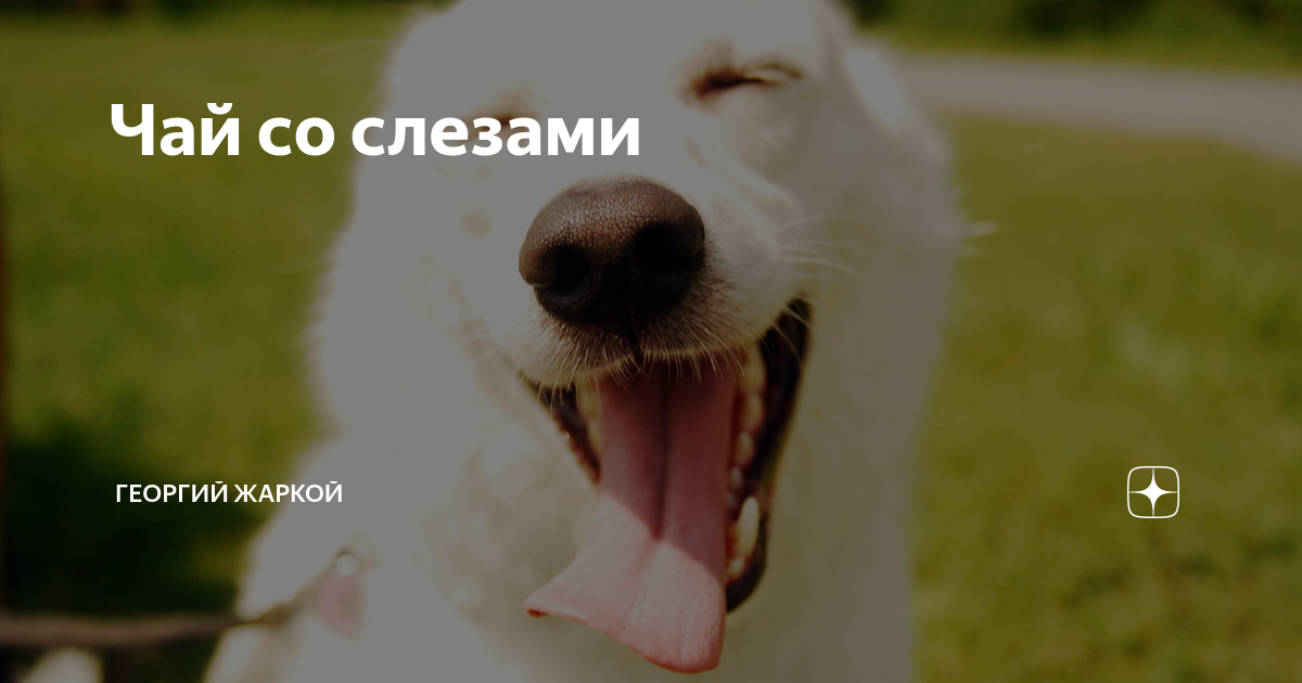 Чай со слезами | Георгий Жаркой | Дзен