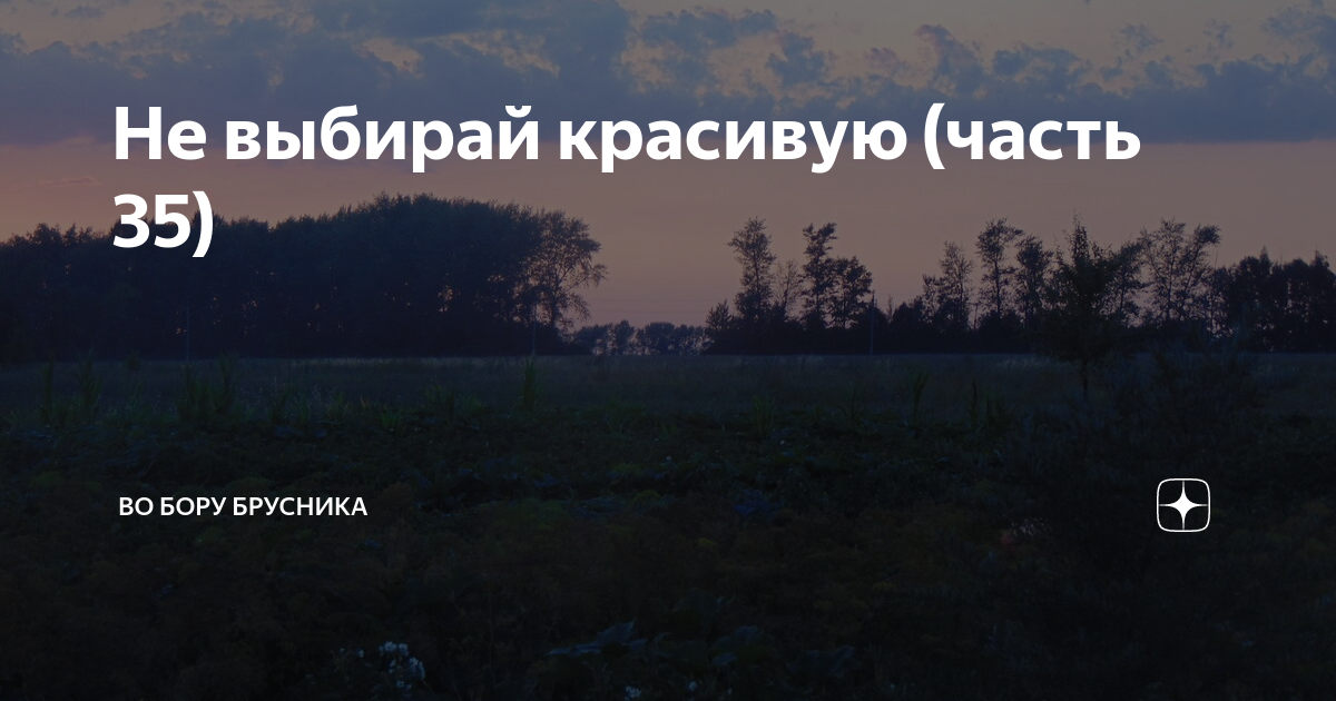 Во Бору брусника дзен. Во Бору брусника Яндекс дзен. Во Бору брусника дзен рассказы Яндекс дзен.