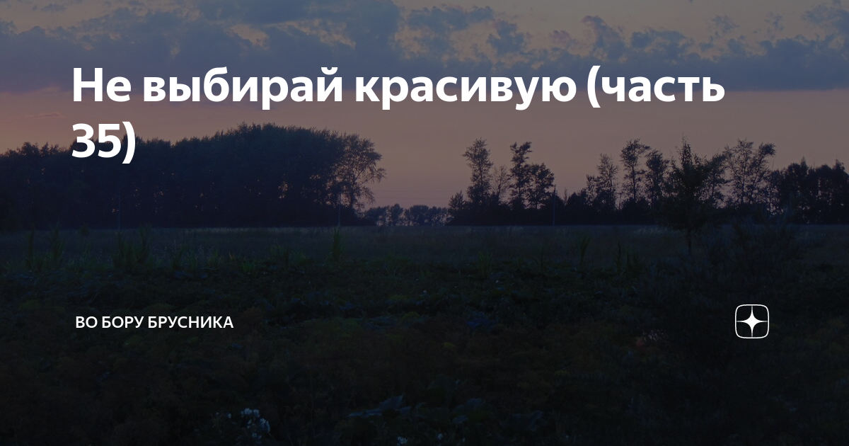 Во бору брусника дзен рассказы последний. Во Бору брусника дзен рассказы.