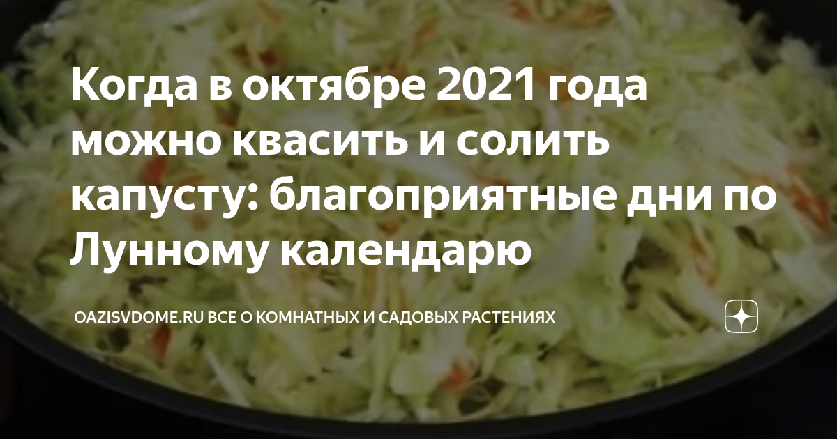 Когда квасить капусту в марте. Квашеная. Капуста по лунному календарю. Лучшие дни для засолки капусты в октябре. Когда можно квасить капусту в какие дни. В декабре когда солить капусту