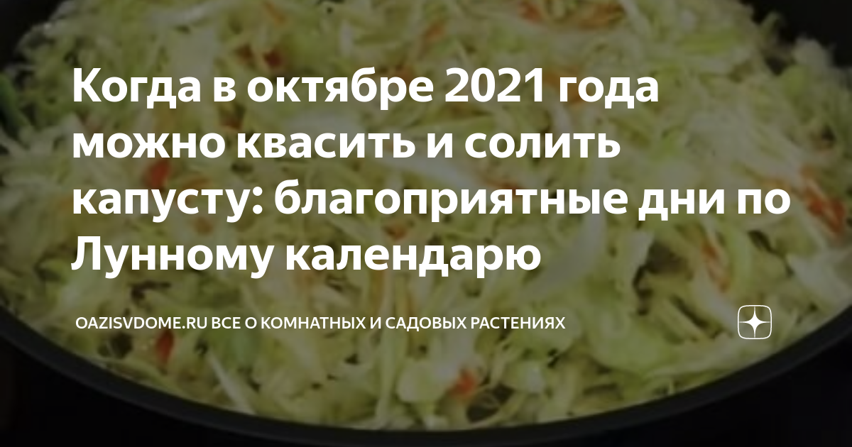 Календарь засолки капусты в феврале 2024 года. Квашеная. Капуста по лунному календарю. Лучшие дни для засолки капусты в октябре. Когда можно квасить капусту в какие дни. В декабре когда солить капусту.