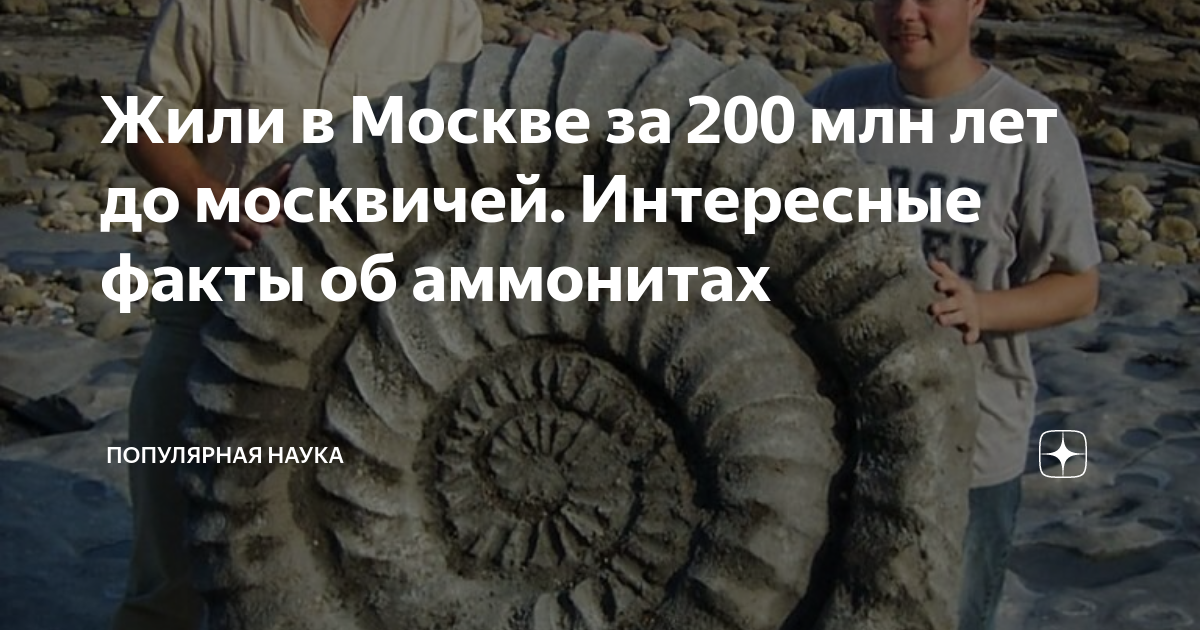 какое событие произошло примерно 2 млн лет