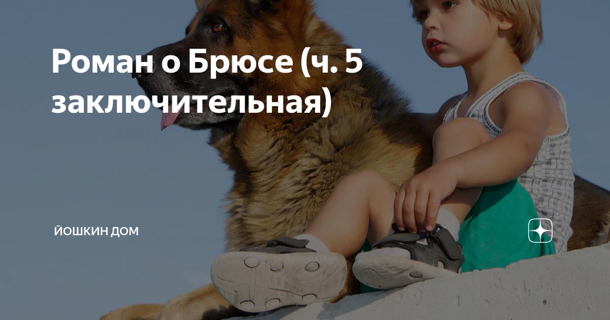 Рассказ на дзен йошкин дом. Йошкин дом на Дзене канал. Канал Йошкин дом. Йошкин дом на Дзене.