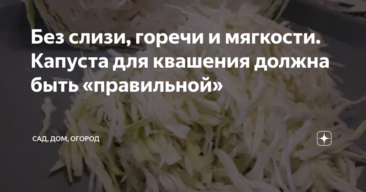 Почему горчит квашеная капуста и как исправить