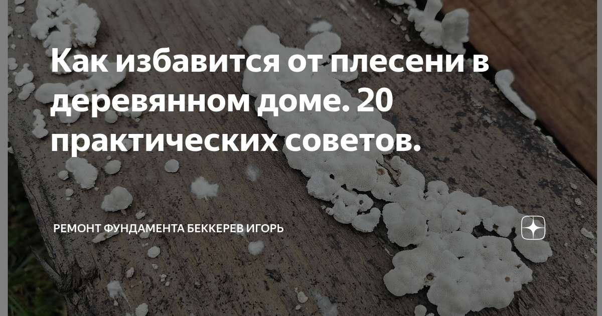 Как избавится от плесени в деревянном доме. 20 практических советов ...