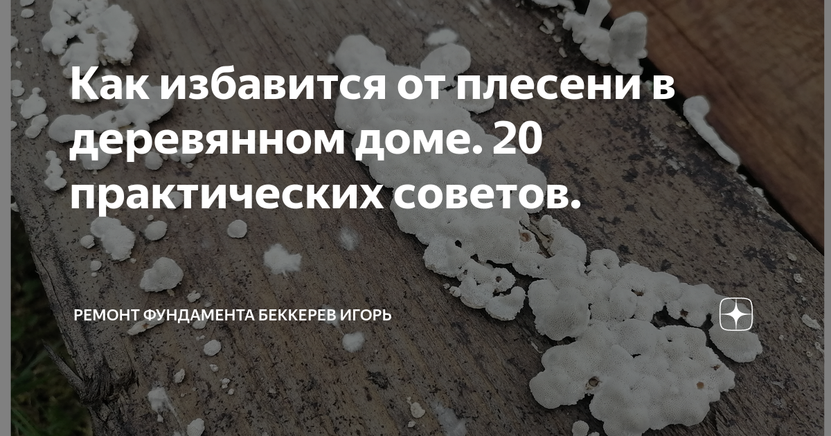 10 эффективных средств от плесени на стенах