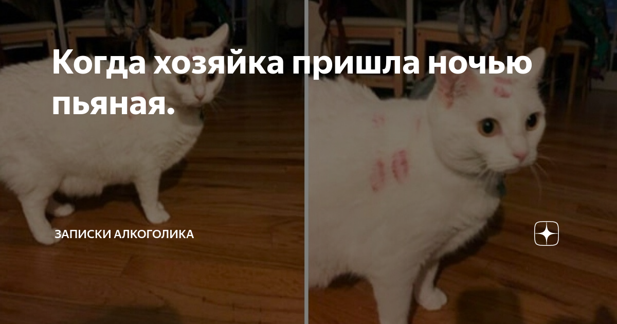 Записки алкоголички дзен. Записки алкоголички дзен. Записки алкоголички дзен. Записки алкоголички дзен. Записки алкоголички дзен.