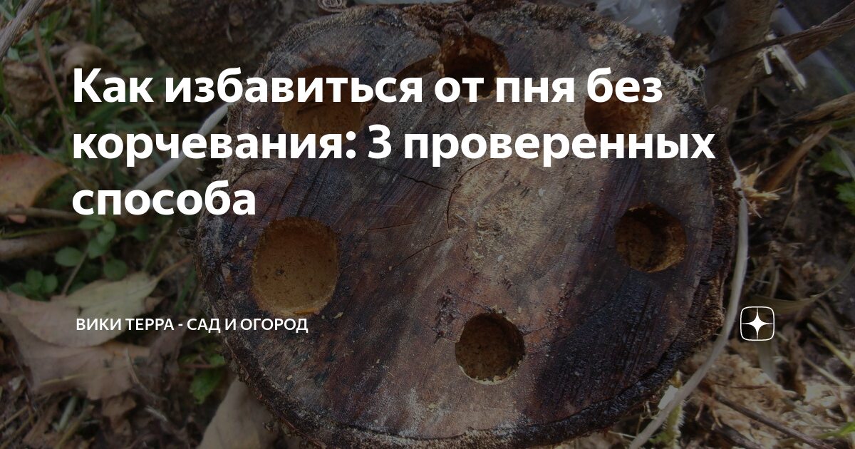Как избавиться от пня без корчевания: 3 проверенных способа | Вики ...