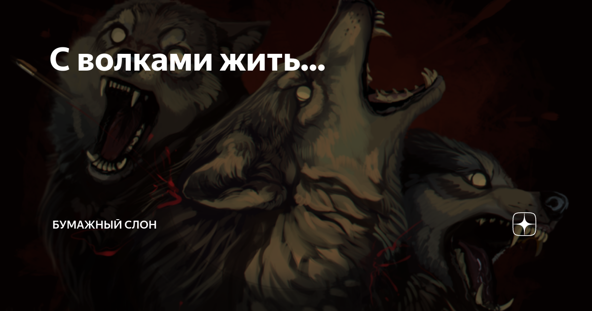 С волками жить. Волк живой злой МАНЬЯК вляд. Выставка живых Волков. Быть волком жить вечно.