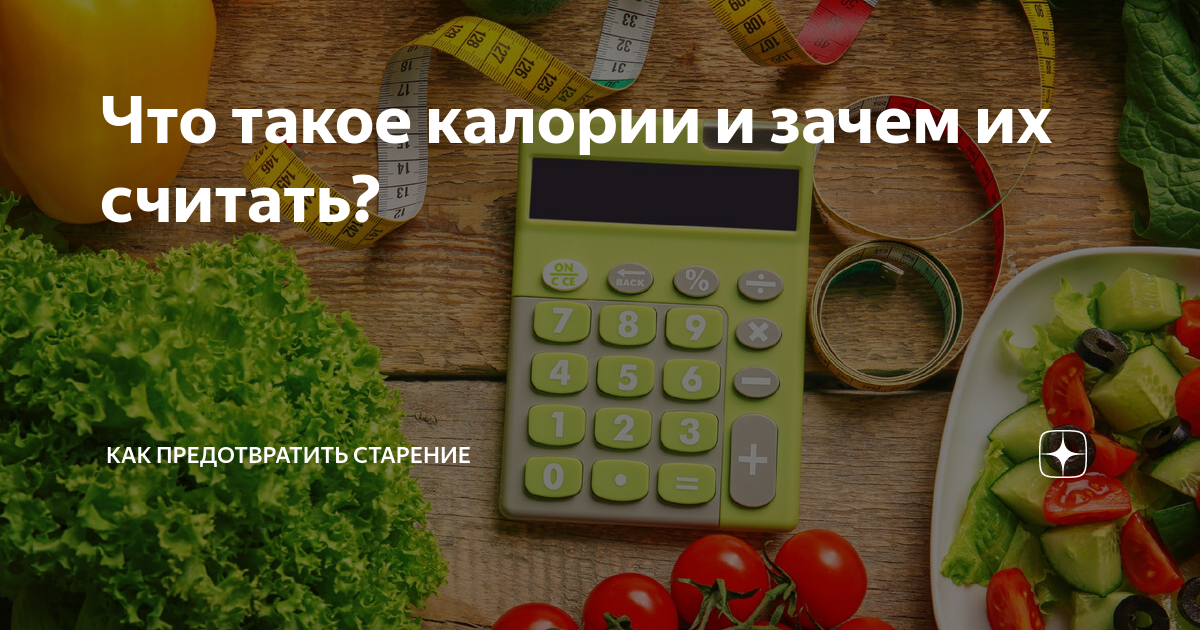 Что такое калории и зачем их считать? | Как предотвратить старение | Дзен