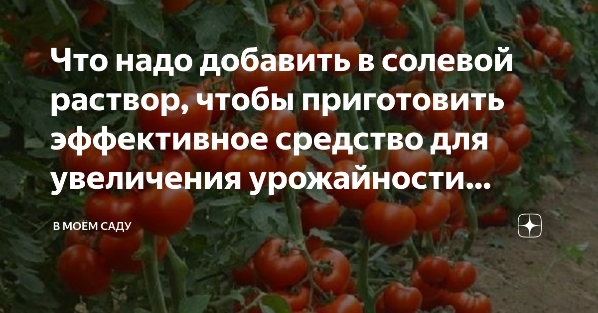 Как сделать 10-процентный солевой раствор? Удивительные целебные свойства соли. Лечение солью