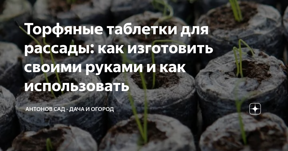 Как сделать торфяные таблетки в домашних условиях. | Красивый Дом и Сад