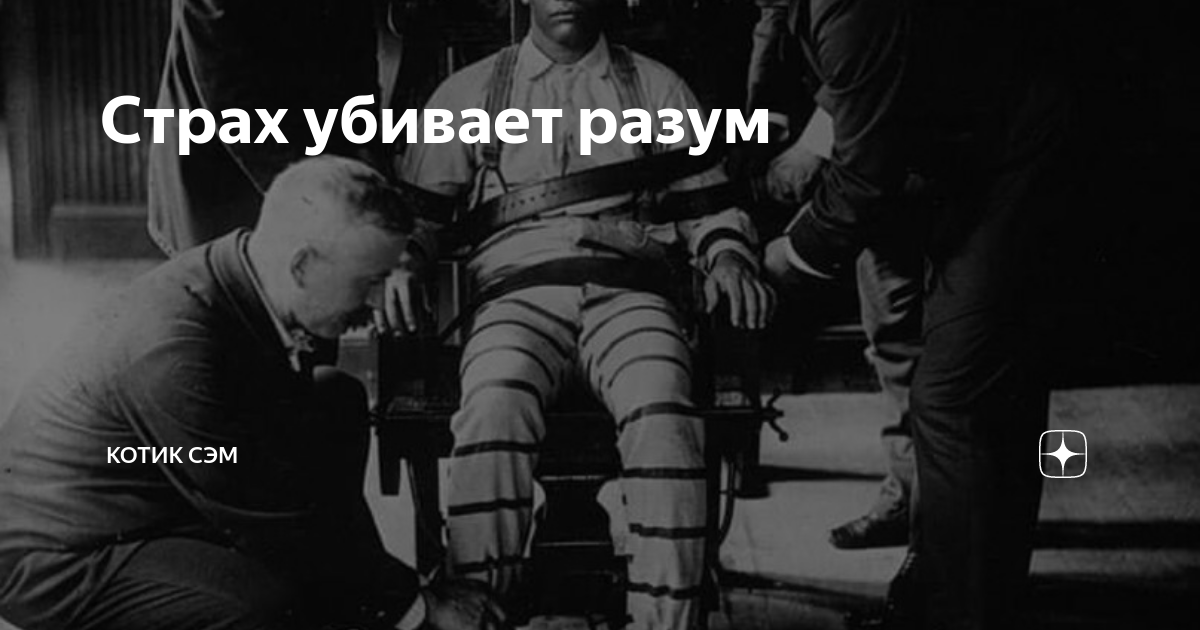 Боюсь быть убитым. Боюсь быть убитым
