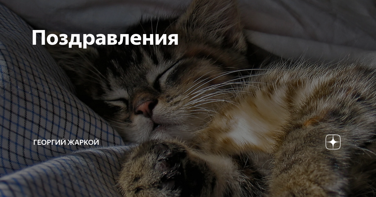 Поздравления | Георгий Жаркой | Дзен