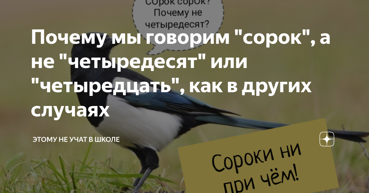 Скажи 40. Почему сорок а не четыредесят. Почему сорок а не четыредцать. Почему говорят сорок а не четыредесят.