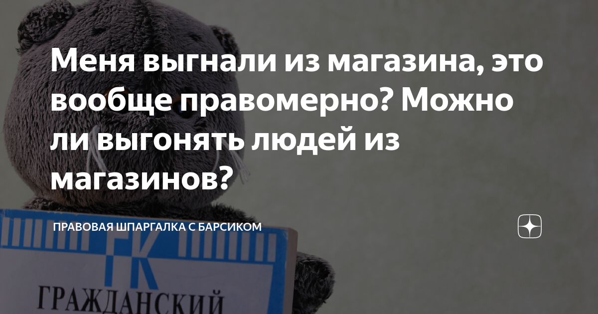 Меня выгнали из магазина, это вообще правомерно? Можно ли выгонять людей из магазинов?