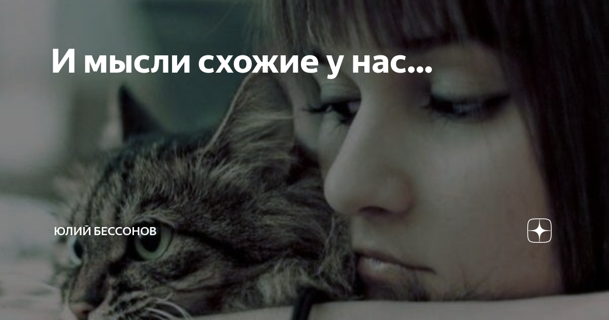 Аналогично думаю. Наши мысли. Аналогично думаю. Стикеры следствие ведут колобки. Аналогично думаю.