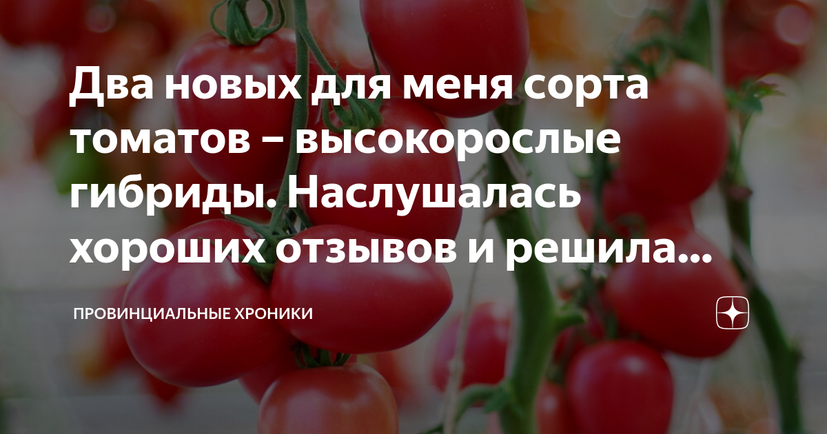Два новых для меня сорта томатов – высокорослые гибриды. Наслушаласьхороших отзывов и решила попробовать