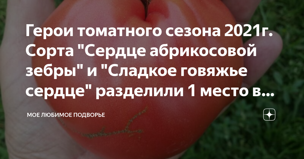 томат говяжье сердце