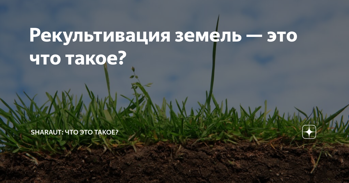 Рекультивация земель — это что такое? | SHARAUT: Что это такое? | Дзен