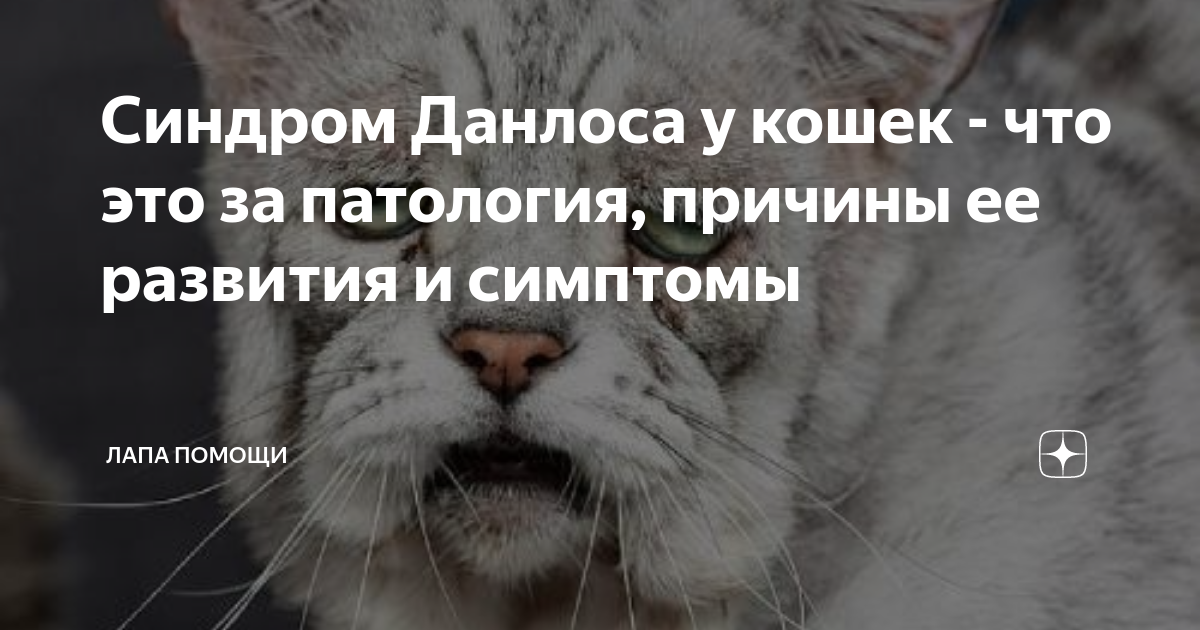 Внешний осмотр