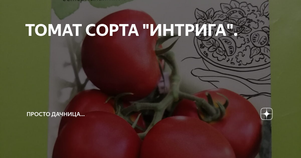ТОМАТ СОРТА "ИНТРИГА". | Просто дачница... | Дзен