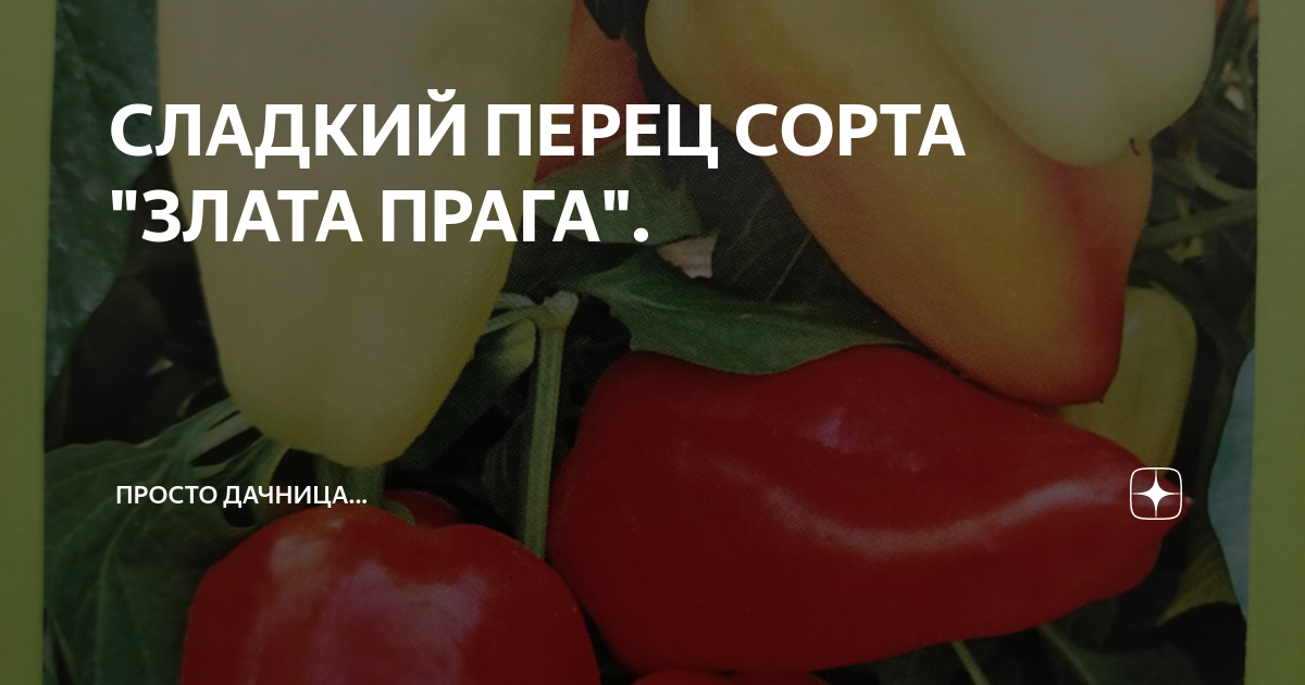 Семена Перец "Злата Прага F1", 15 сем. Гипермаркет семян 119681279 купить за 355
