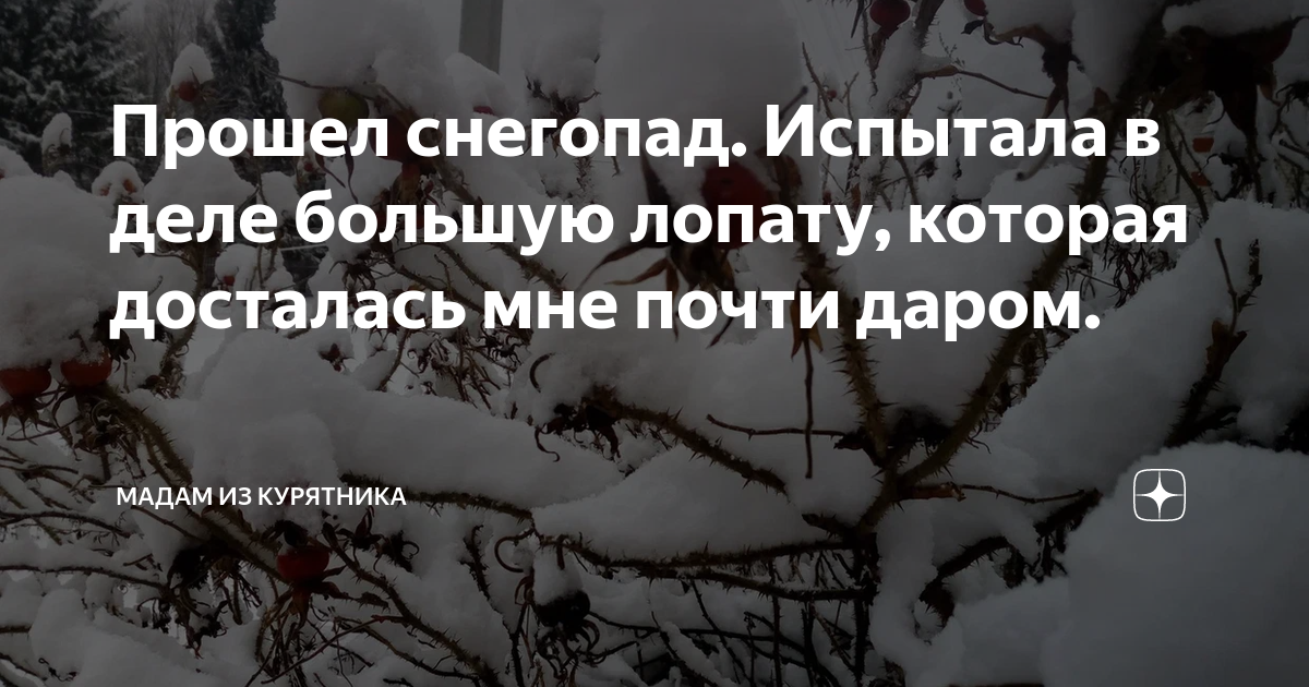 Чудо лопата своими руками. С ней не заболит спина. Для выкапывания картофеля.