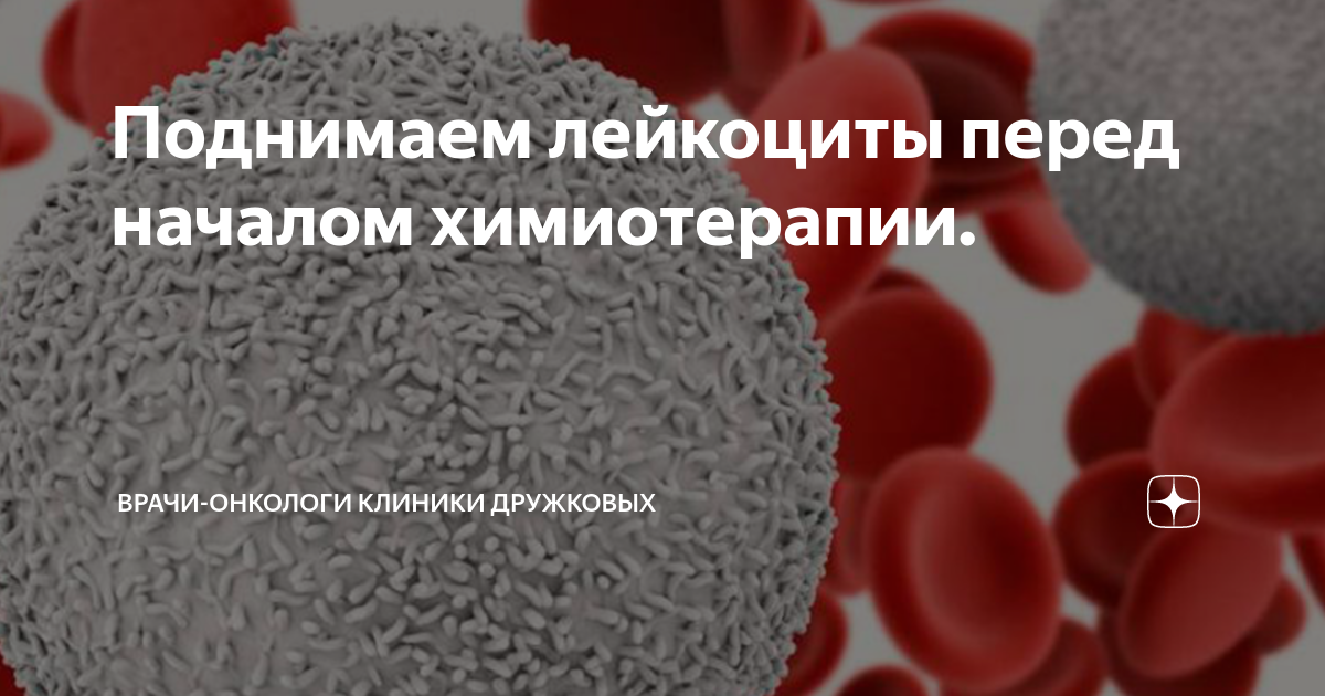 Поднимаем лейкоциты перед началом химиотерапии. | Врачи-онкологи ...