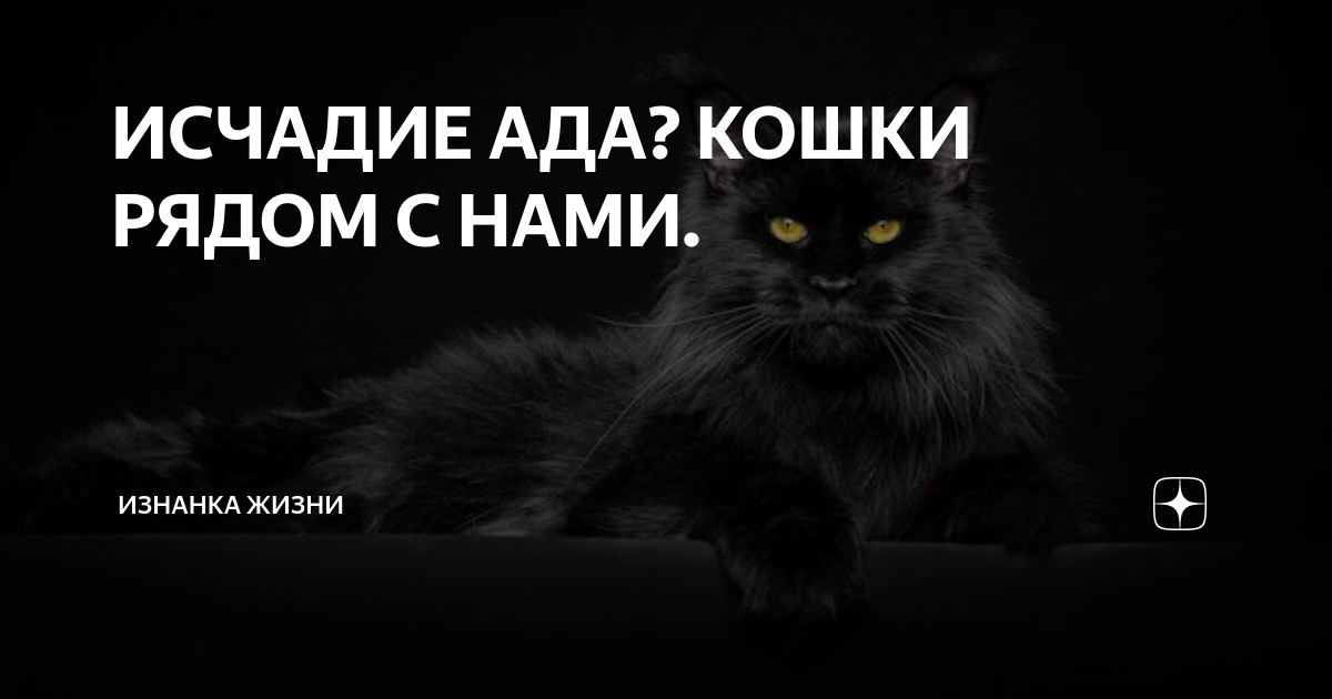 Исчадие ада читать. Исчадие ада читать