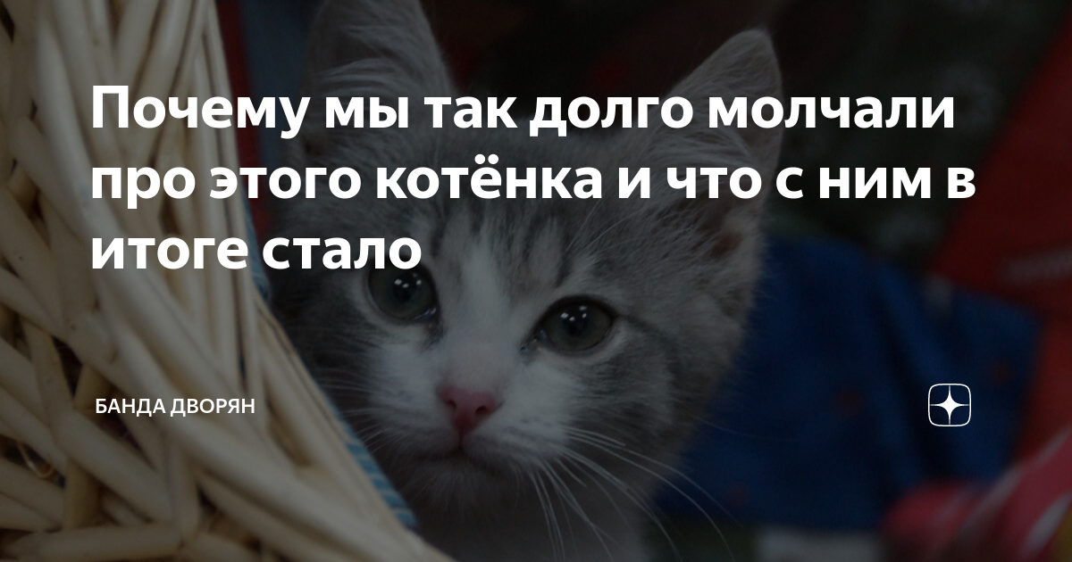 Про долго. Про долго