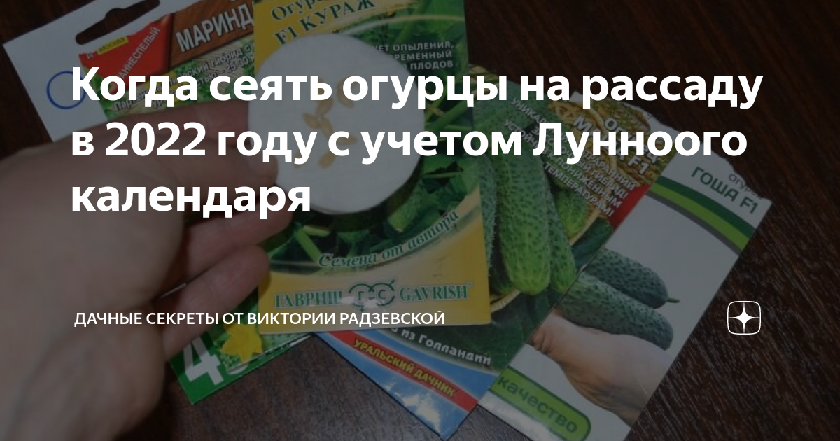 Когда сеять огурцы на рассаду в 2022 году с учетом Лунноого календаря ...