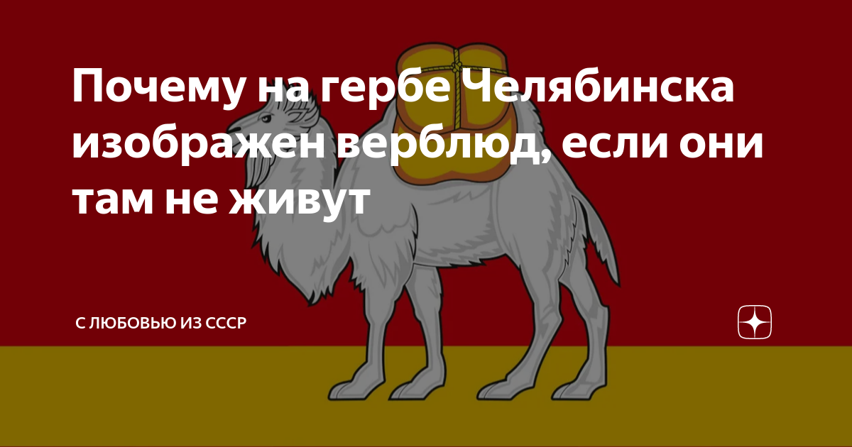 Почему символ Челябинской области — верблюд? / Общество / Видео / Онлайн ТВ
