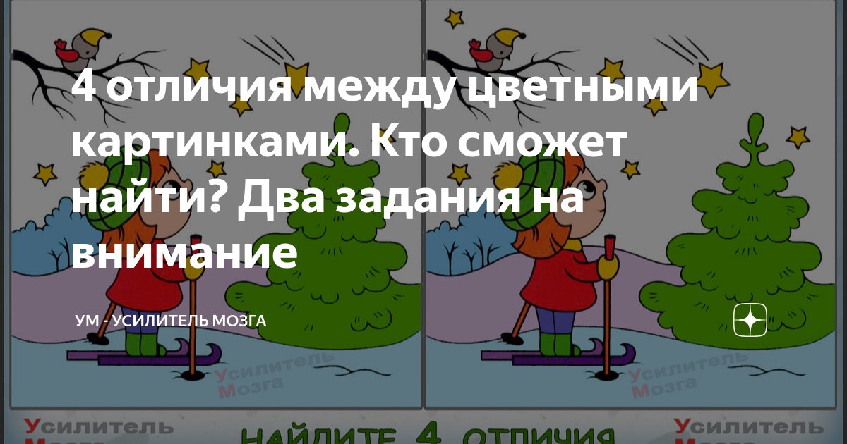 Сколько различий вы видите между двумя картинками brain