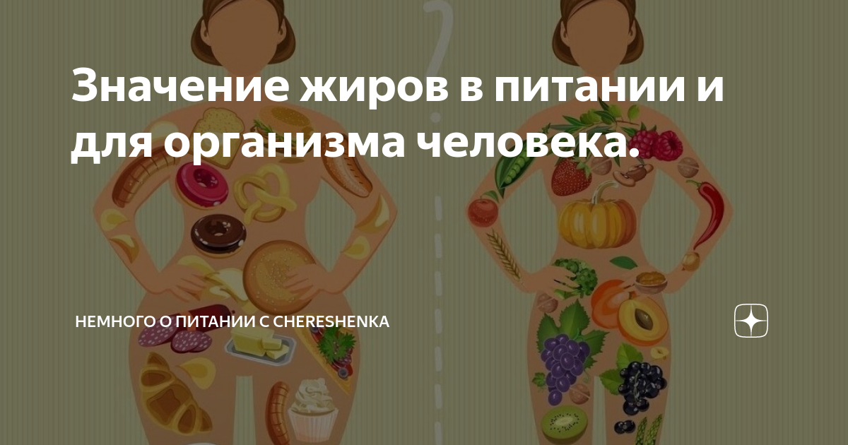 Что означает жир. Что означает жир