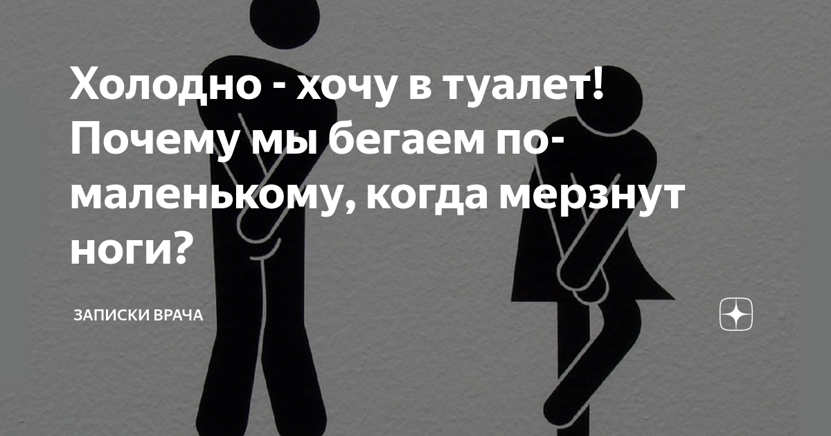 Правда ли от холода больше хочется в туалет? Научное объяснение