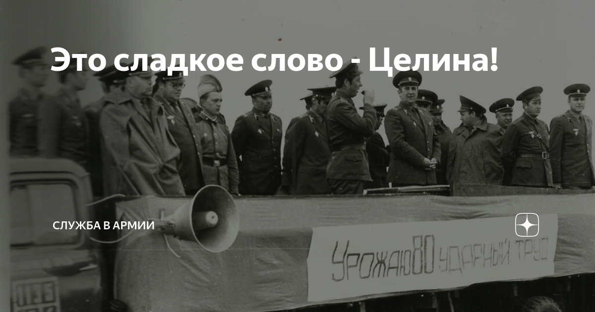 Это сладкое слово - Целина! | Россия, Армия и Флот | Дзен