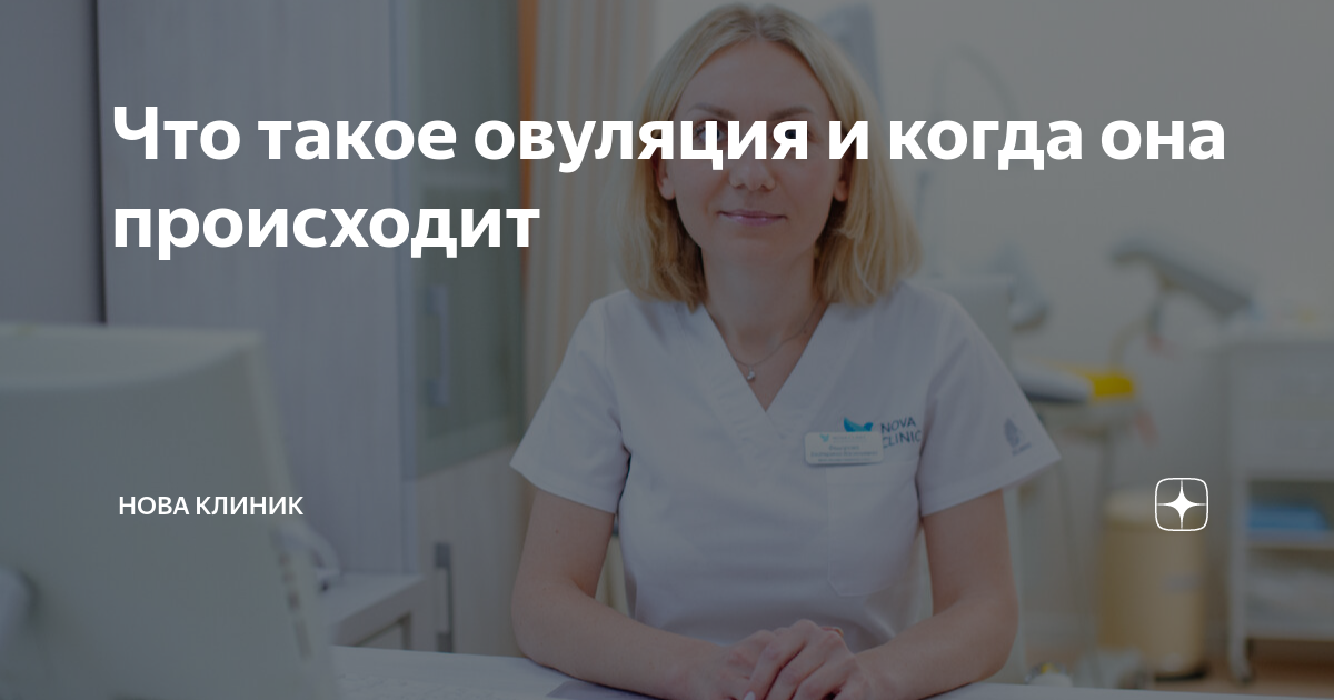 овуляция как это происходит