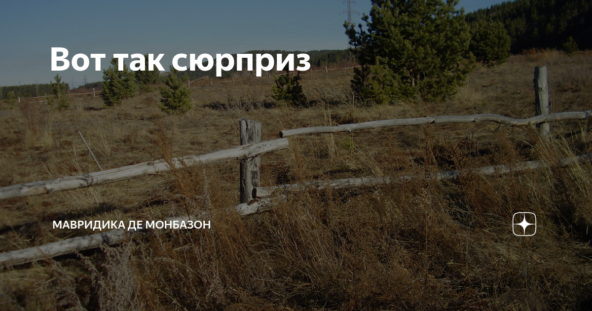 Мавридика де монбазон на дзен. МАВРИДИКА Монбазон. МАВРИДИКА де Монбазон дзен. МАВРИДИКА де Монбазон навигация по каналу