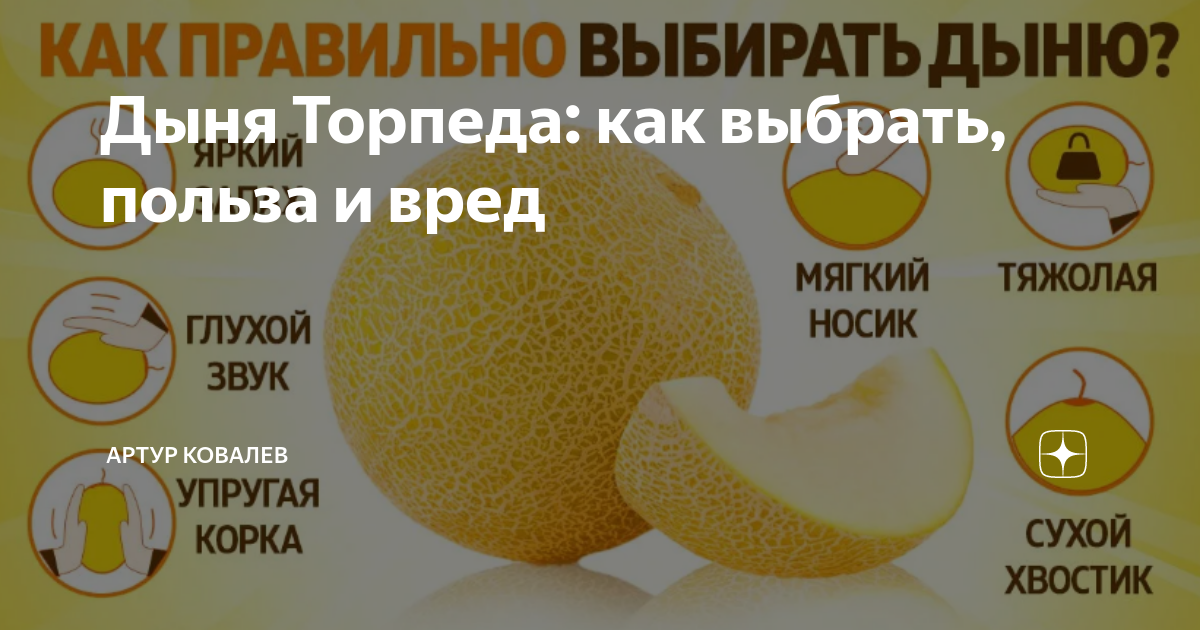 Чем полезна дыня колхозница для организма женщины. Как выбрать дыню. Как выбрать дыню торпеду. Как выбрать дыню торпеду спелую. Как правильно выбрать дыню торпеду.