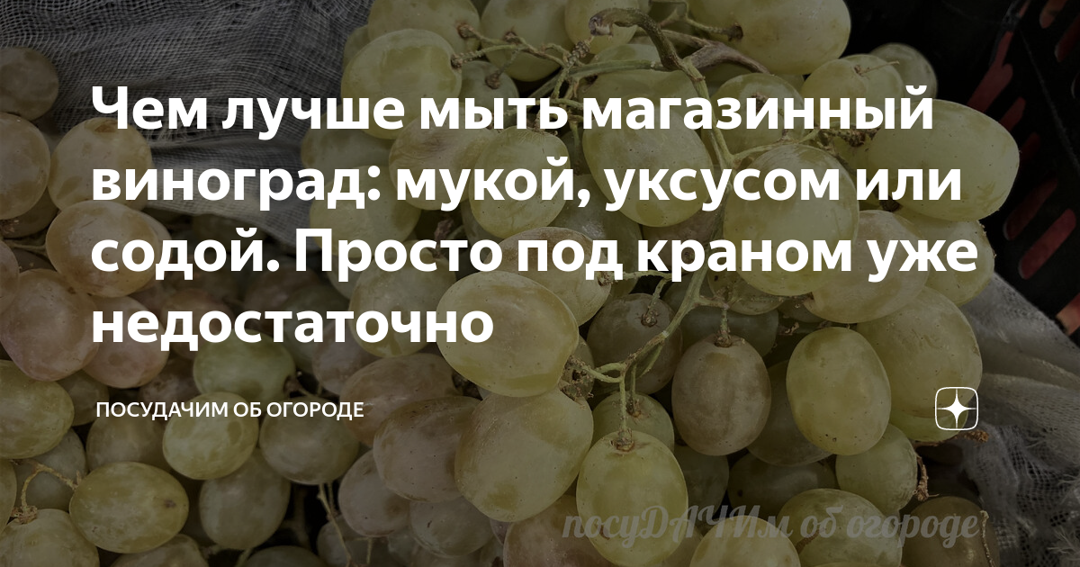 Чем лучше мыть магазинный виноград: мукой, уксусом или содой. Просто подкраном уже недостаточно