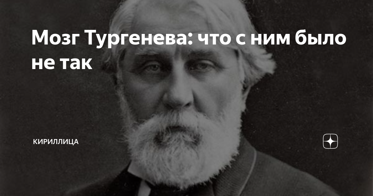 Мозги тургенева. Мозги тургенева