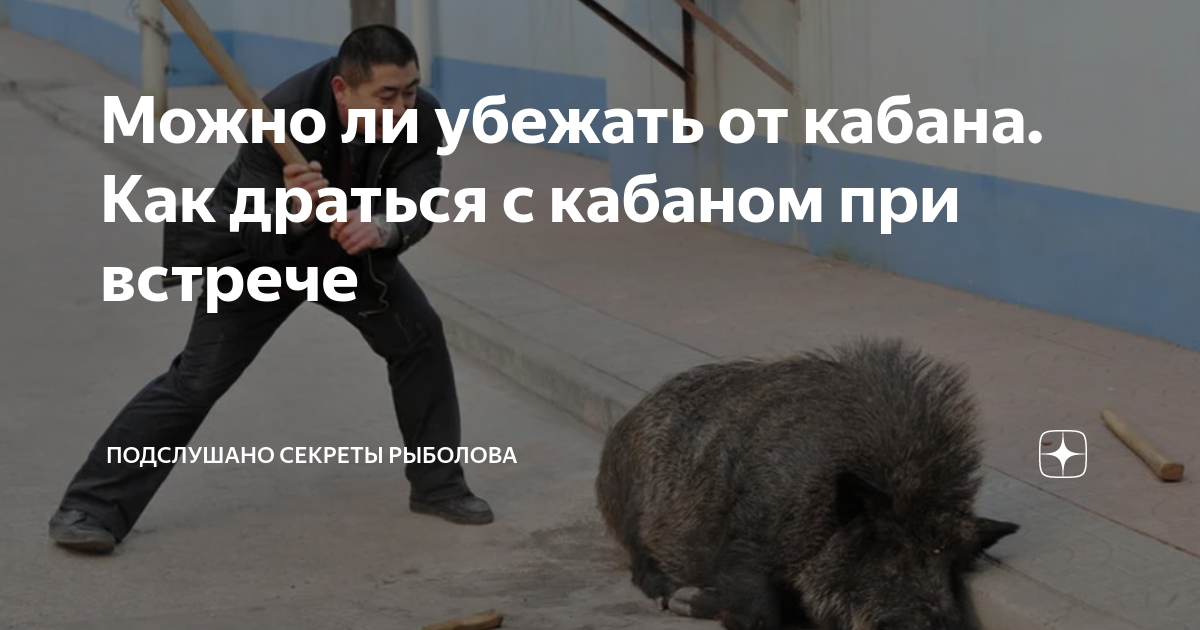 что делать при встрече с дроном