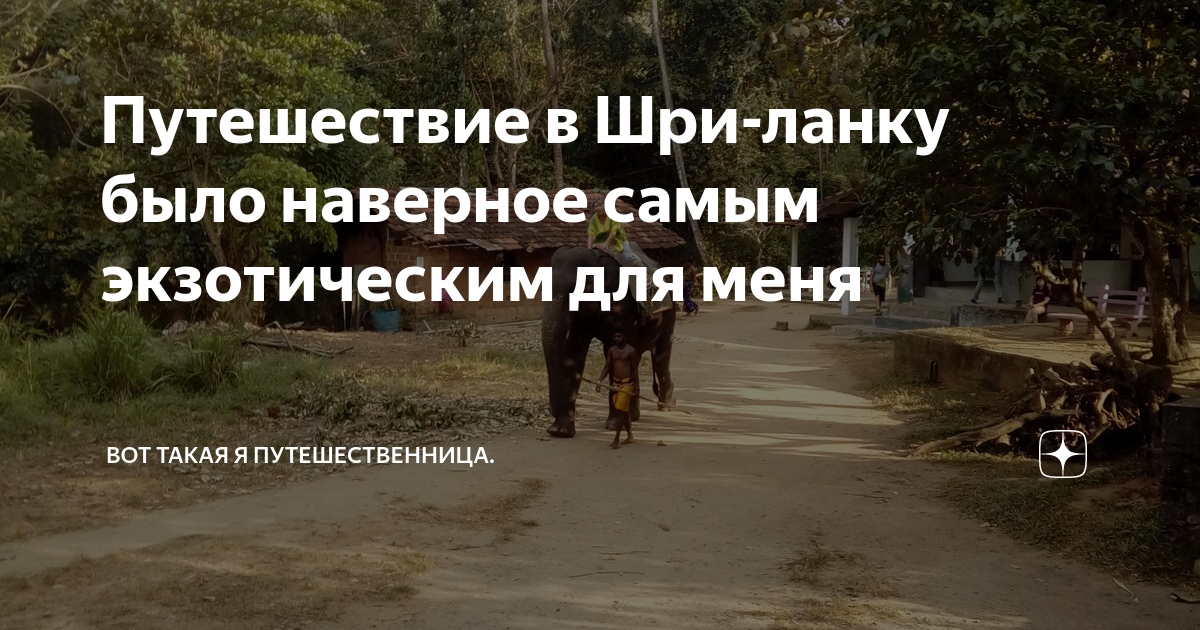Путешествие в Шри-ланку было наверное самым экзотическим для меня | Вот ...