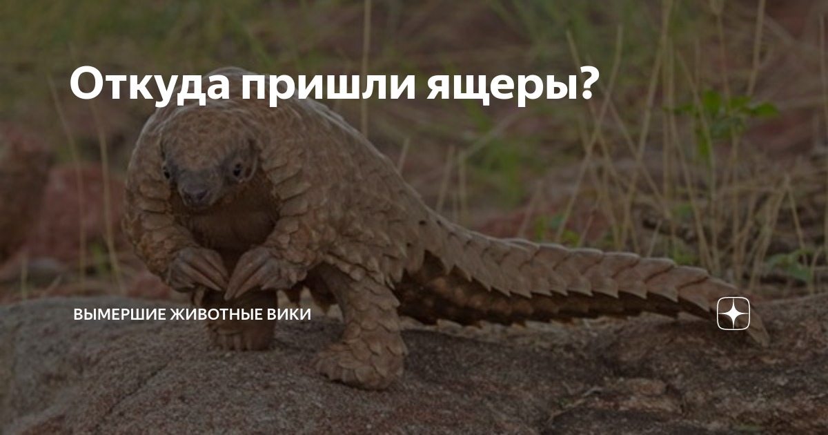 Откуда пришли ящеры? | Вымершие животные вики | Дзен