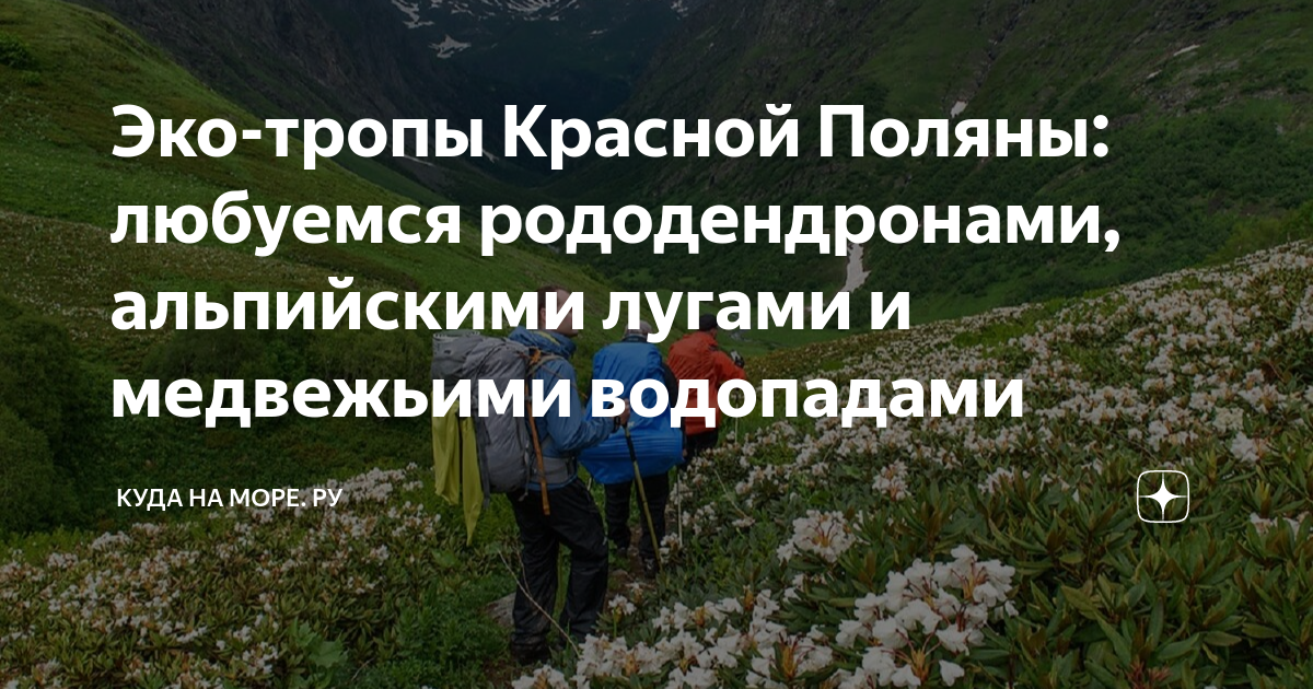 экотропы красная поляна апрель
